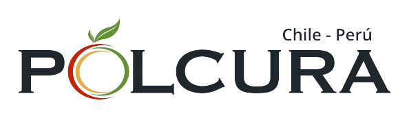Pólcura