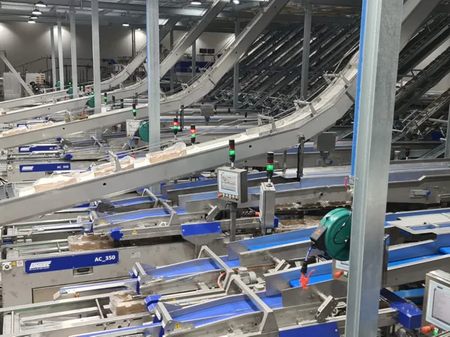 Montaje de conveyors y servicios interconectados — proyecto Prolain